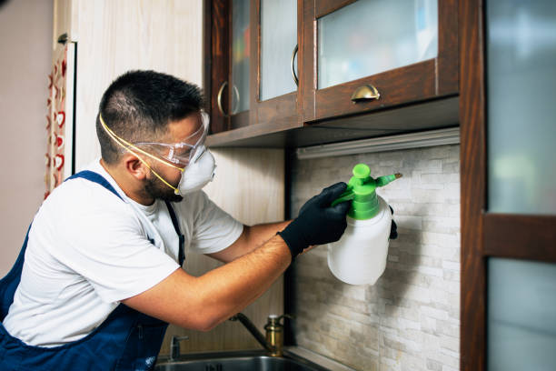 Best Best Pest Control Companies  in South Oroville, CA