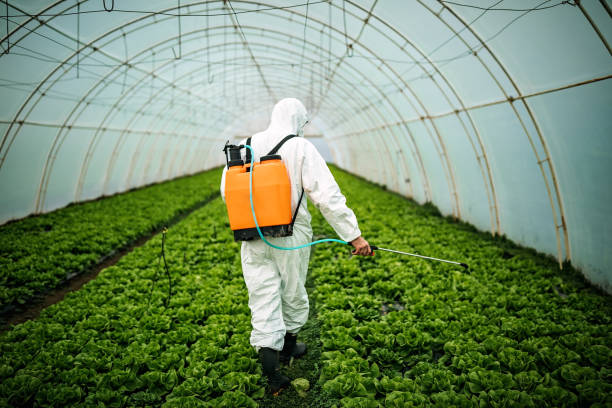 Best Mosquito Control Services  in South Oroville, CA