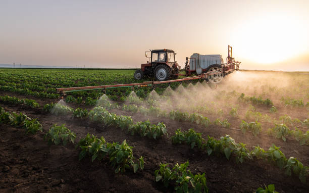 Best Commercial Pest Control Services  in South Oroville, CA