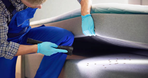 Reliable South Oroville, CA Pest Control Solutions