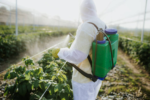 Best Emergency Pest Control  in South Oroville, CA